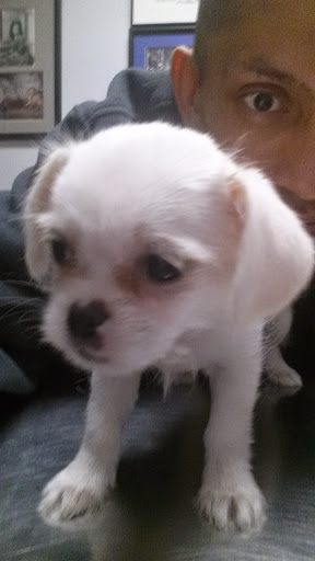 Calumet Animal Clinic image