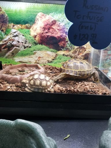 Pet Store «Tropical Pets», reviews and photos, 308 E 204th St, Bronx, NY 10467, USA