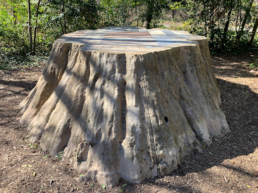 Art Museum «The Contemporary Austin», reviews and photos, 3809 W 35th St, Austin, TX 78703, USA