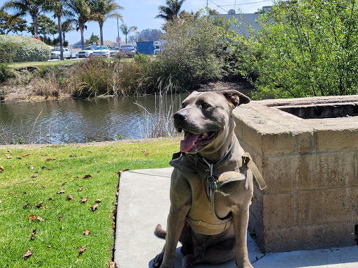 Park «Mary Harrington Park», reviews and photos, 201 Dolliver St, Pismo Beach, CA 93449, USA