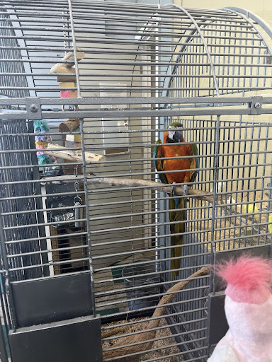 Pet Store «Sierra Fish and Pets», reviews and photos, 601 S Grady Way Suite M, Renton, WA 98057, USA