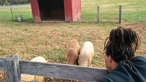 Farm «Clarks Elioak Farm LLC», reviews and photos, 10500 Clarksville Pike, Ellicott City, MD 21042, USA