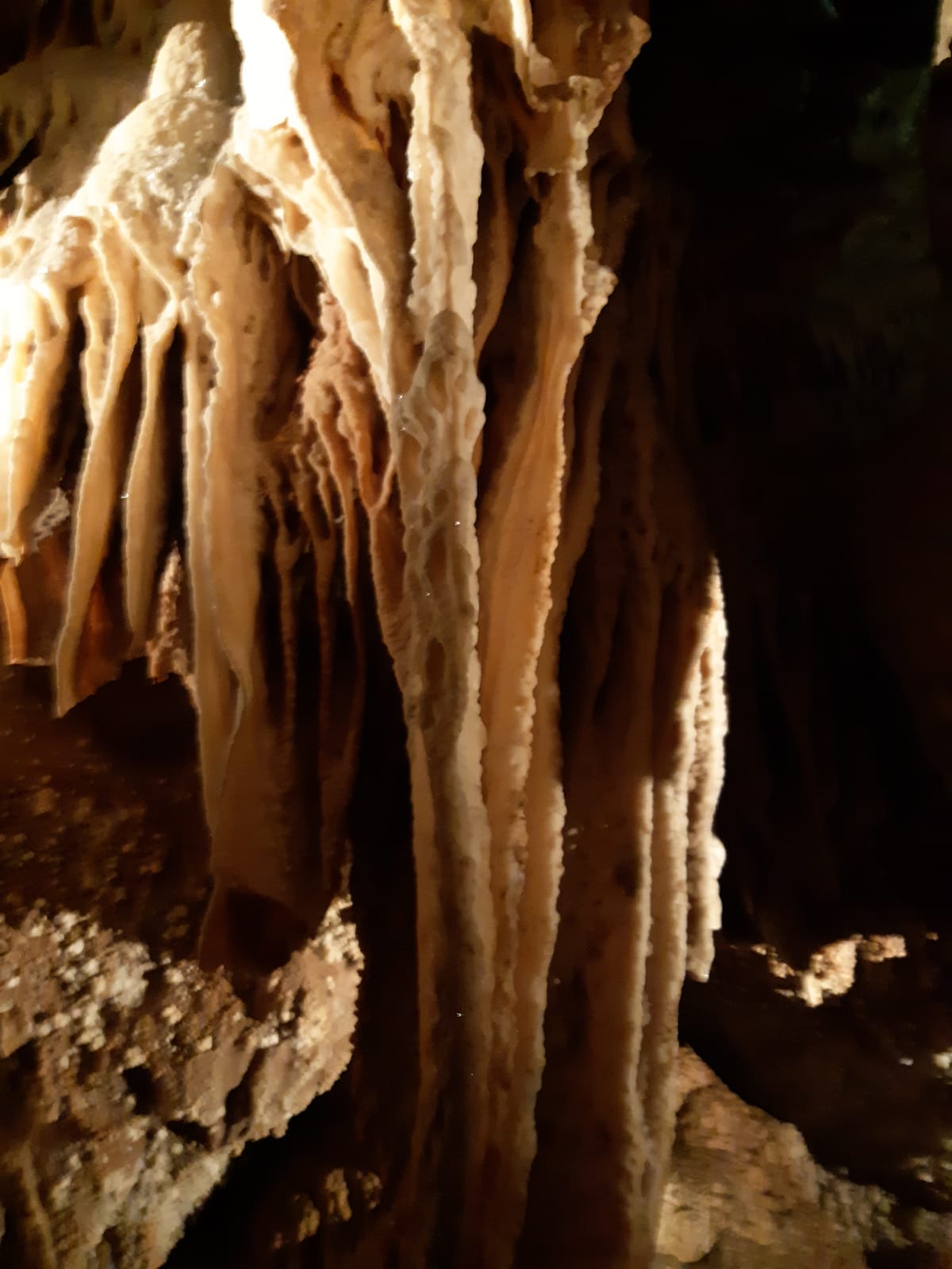 Photo n° 9 de l'avis de Alexandra. fait le 17/08/2021 à 22:21