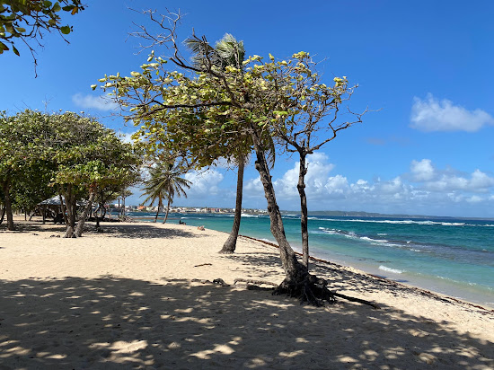 Plage De L'Autre Bord