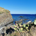 Photo n° 4 de l'avis de Jean-Luc.I fait le 12/09/2022 à 14:34 pour Aloès Plongée à Cerbère