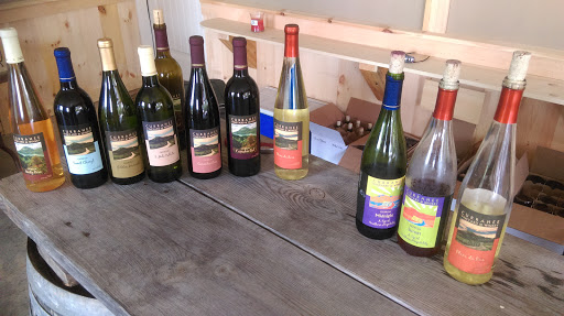 Winery «Currahee Vineyard & Winery», reviews and photos, 3301 W Currahee St, Toccoa, GA 30577, USA