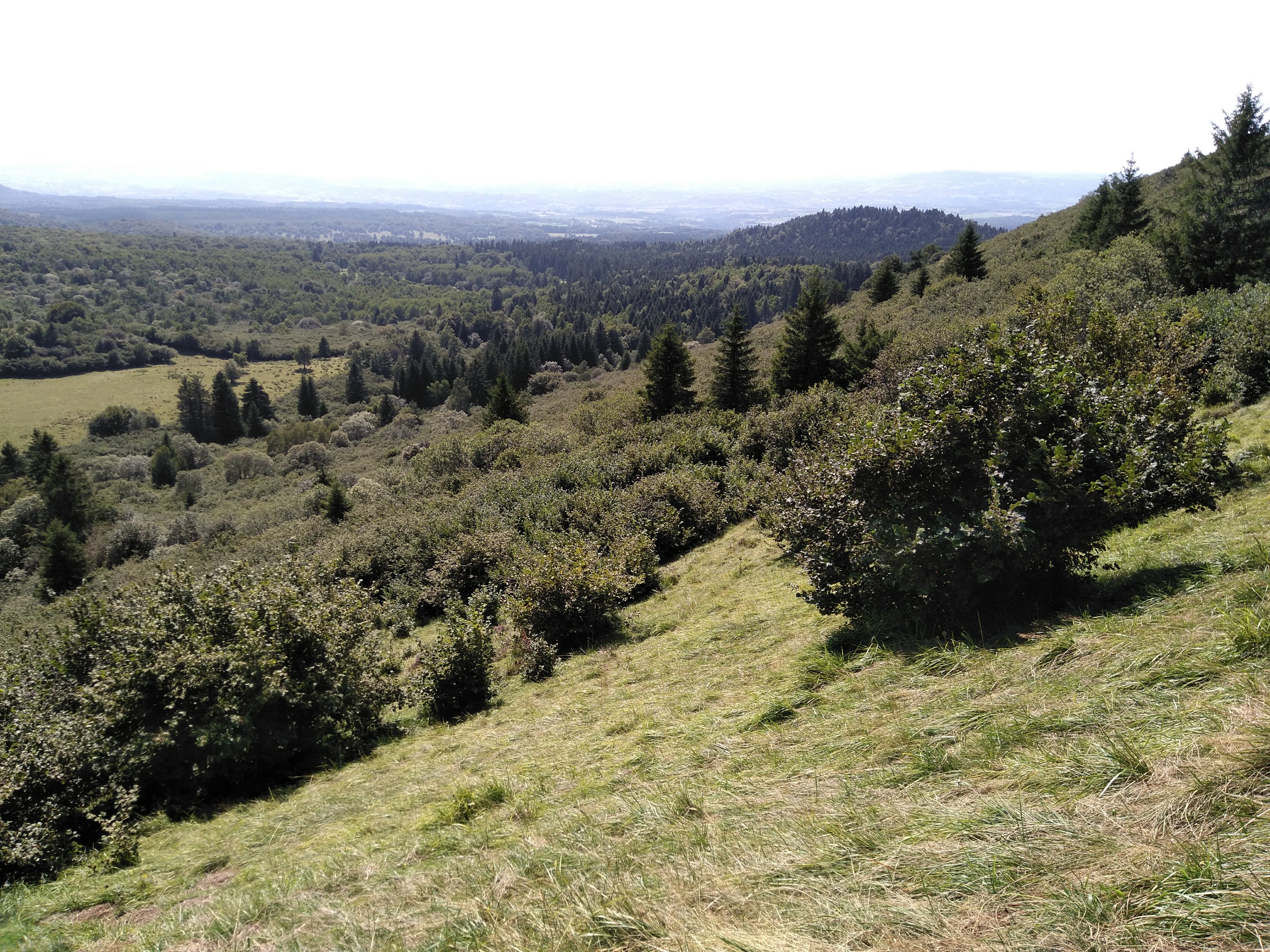 Photo n° 5 de l'avis de fabrice.f fait le 03/10/2018 à 13:39
