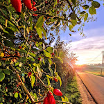 Photo n°3 de l'avis de Caroline.r fait le 22/10/2023 à 16:55 sur le  Ferien-& Erlebnispark Plötzky à Schönebeck