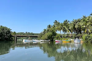 Om Sai Agonda Backwater Boat Trip image