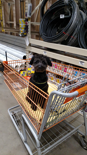 Home Improvement Store «The Home Depot», reviews and photos, 600 Terry Rich Blvd, St Clair, PA 17970, USA