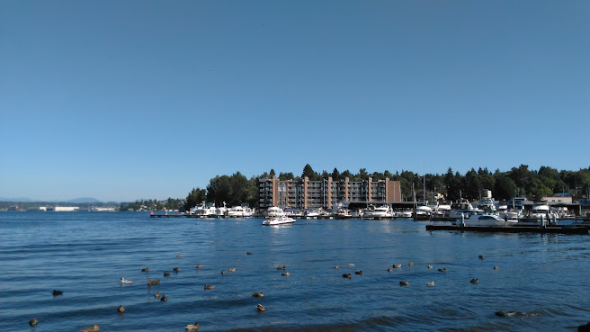 Rainier Beach by null