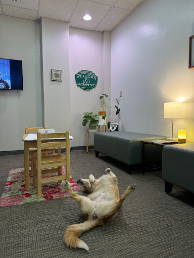 ACME Chiropractic, Inc. image