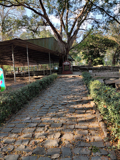 Top 20 cửa hàng kẹo ngọt Huyện Tháp Mười Đồng Tháp 2022