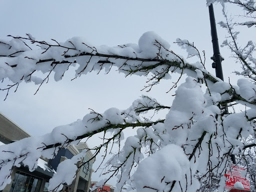 Party Store «Party City», reviews and photos