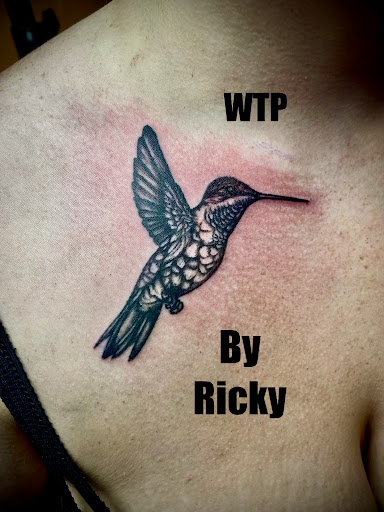 Explore detroit lions tattoo ideas, creative tattoo ideas in Wilmington, available at Wilmington Tattoo & Piercing