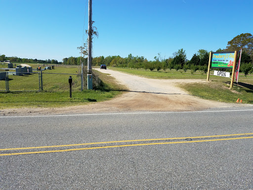 Tourist Attraction «Sugar Hill U-pick Farms», reviews and photos, 3595 Co Rd 59, Verbena, AL 36091, USA