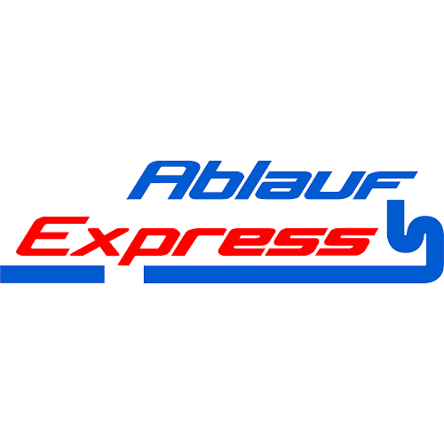 Rezensionen über AA Ablauf-Express GmbH in Reinach - Markt