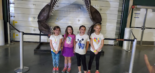 Fairground «Buffalo County Fairgrounds», reviews and photos, 3807 Avenue N, Kearney, NE 68847, USA