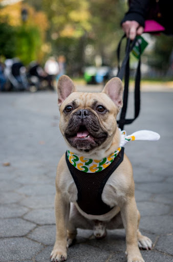 Restaurant «SUBWAY®Restaurants», reviews and photos, 23411 Aliso Viejo Pkwy Suite J, Aliso Viejo, CA 92656, USA