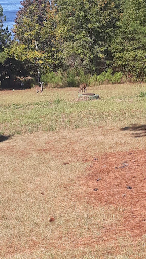 Park «Lakefront Park», reviews and photos, Viewpointe Dr, Locust Grove, GA 30248, USA