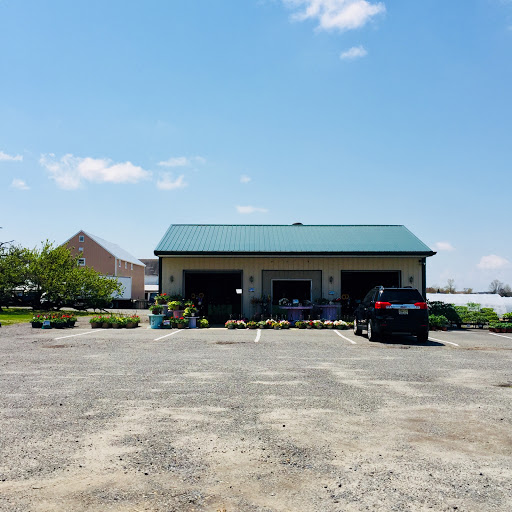 Grocery Store «Grasso Girls Farm Market», reviews and photos, 353 Wolfert Station Rd, Mullica Hill, NJ 08062, USA