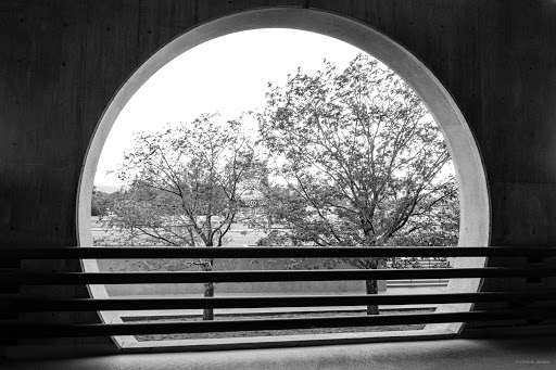 Health Insurance Agency «Blue Cross Blue Shield», reviews and photos