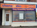 Shampoodles Grooming Boutique