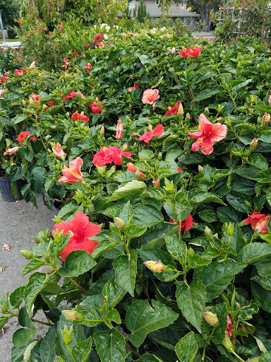 Home Improvement Store «The Home Depot», reviews and photos, 6001 Madison Ave, Carmichael, CA 95608, USA