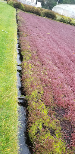 Museum «Cranberry Museum», reviews and photos, 2907 Pioneer Rd, Long Beach, WA 98631, USA