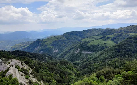 Parco Nazionale delle Foreste Casentinesi, Monte Falterona e Campigna image