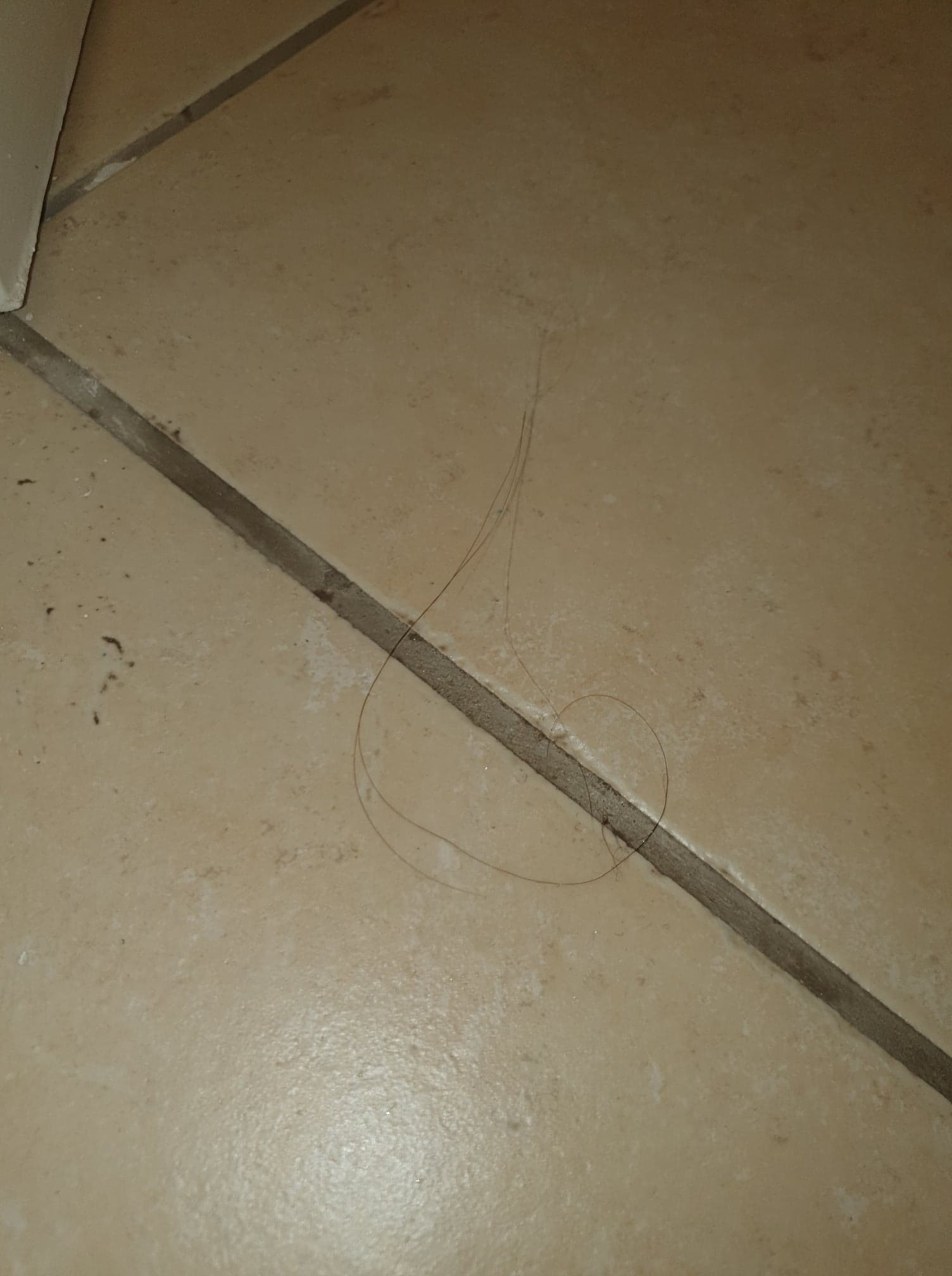 Photo n° 2 de l'avis de Fedi.e fait le 07/12/2020 à 12:17