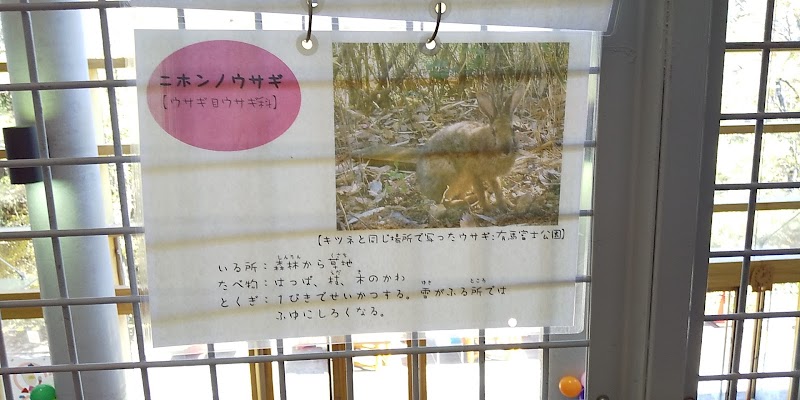 キッピー山のラボ 三田市有馬富士自然学習センター 兵庫県三田市福島 博物館 グルコミ