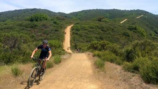 Bicycle Repair Shop «Two Wheel Jones Bicycles - Mesa», reviews and photos, 2837 N Power Rd #110, Mesa, AZ 85215, USA
