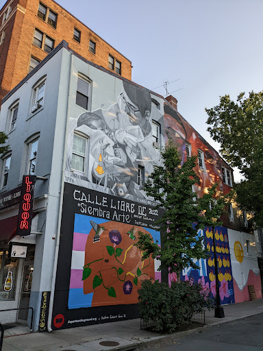 Cairo Wine & Liquor, 1618 17th St NW, Washington, DC 20009, USA, 