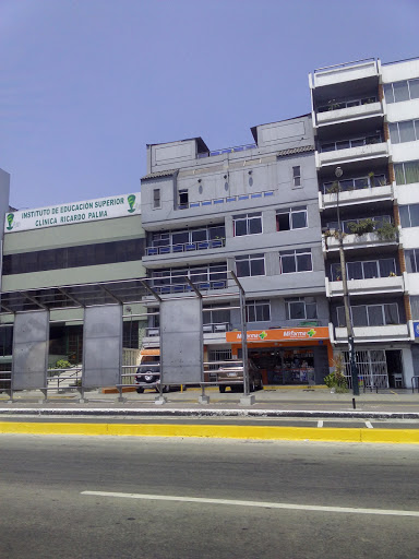 Instituto de Educación Superior Ricardo Palma