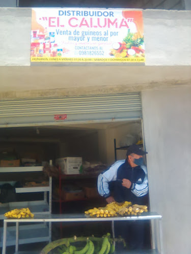 Distribuidor El Caluma - Ambato