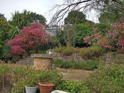 Atys Jardin à Vallauris