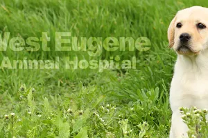 West Eugene Animal Hospital image