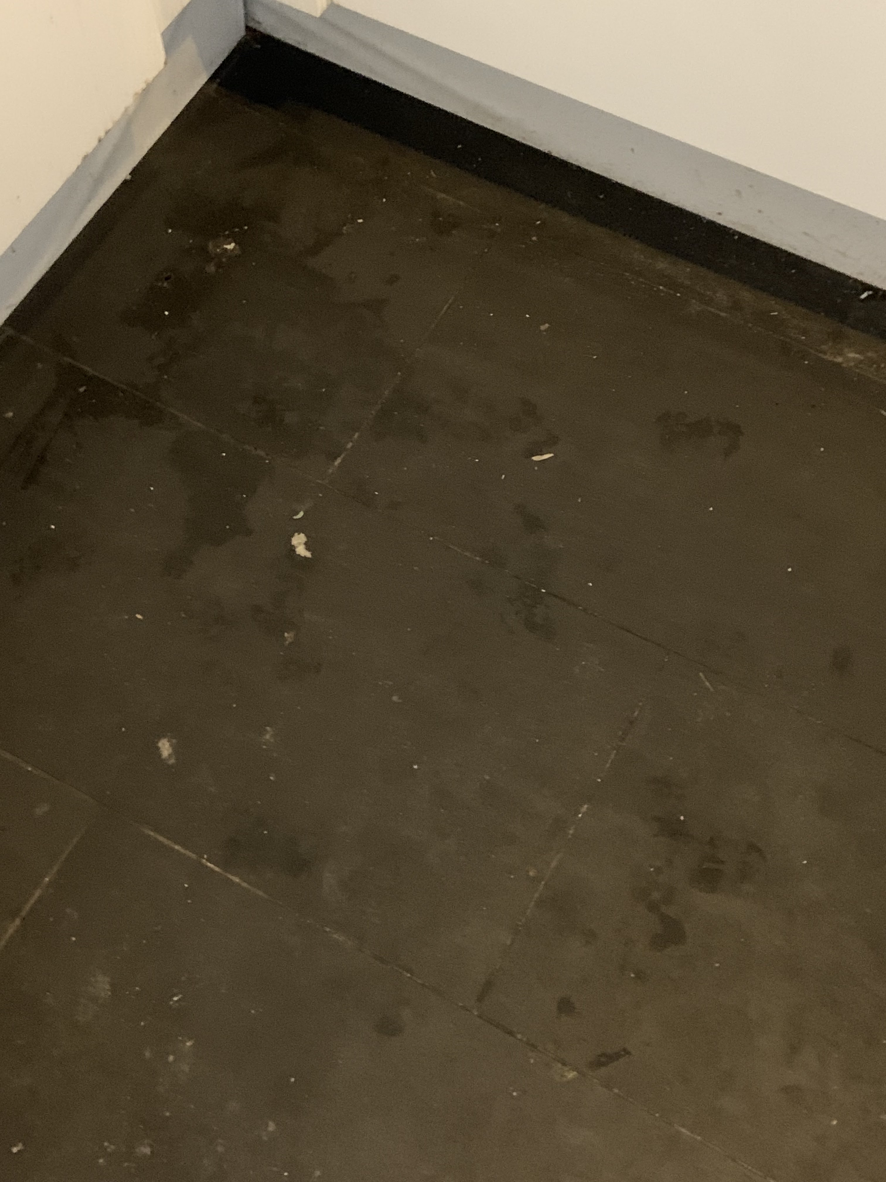Photo n° 8 de l'avis de B.P fait le 22/02/2024 à 16:58