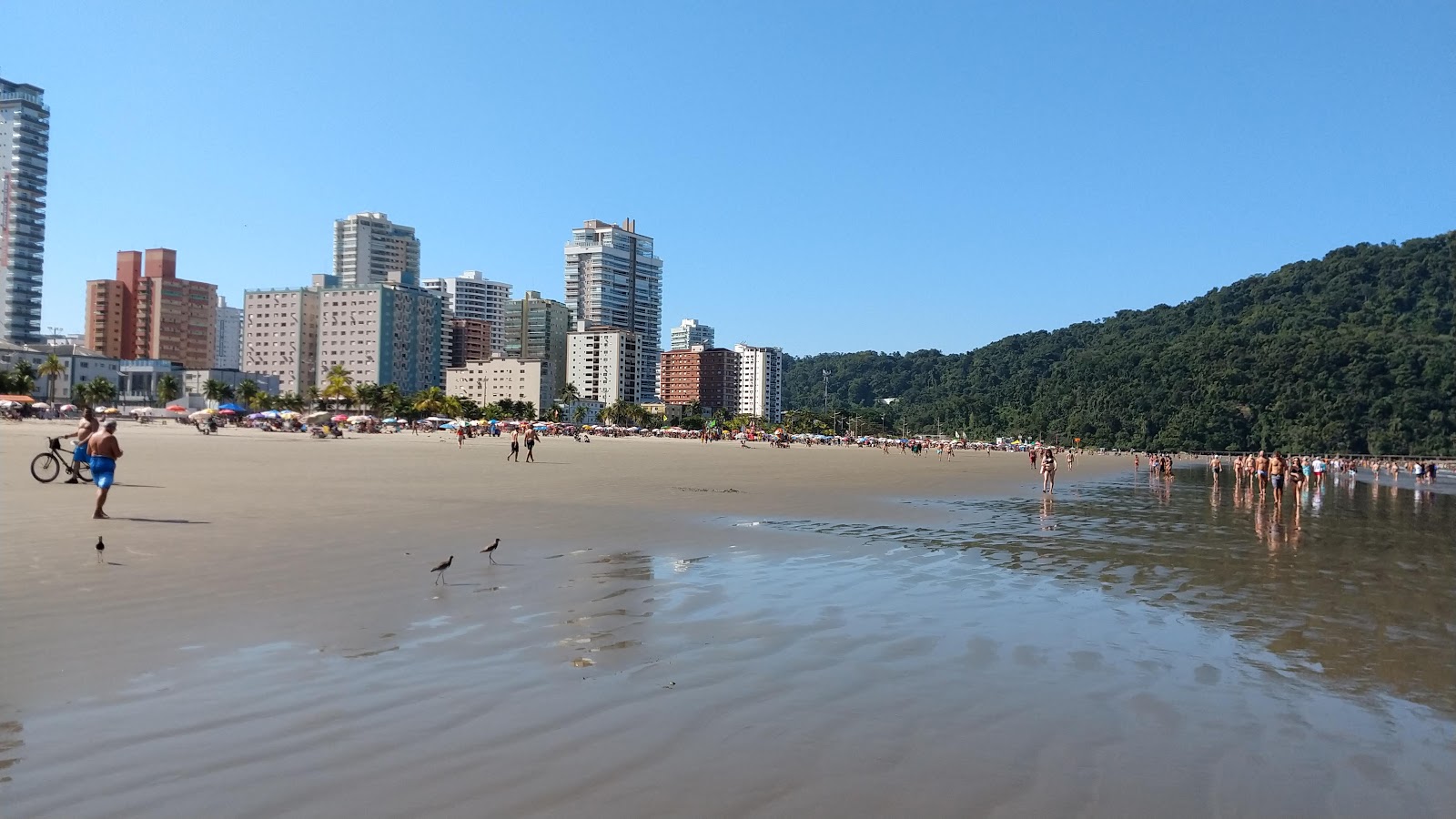 Photo de Plage Forte avec rivage droit, long