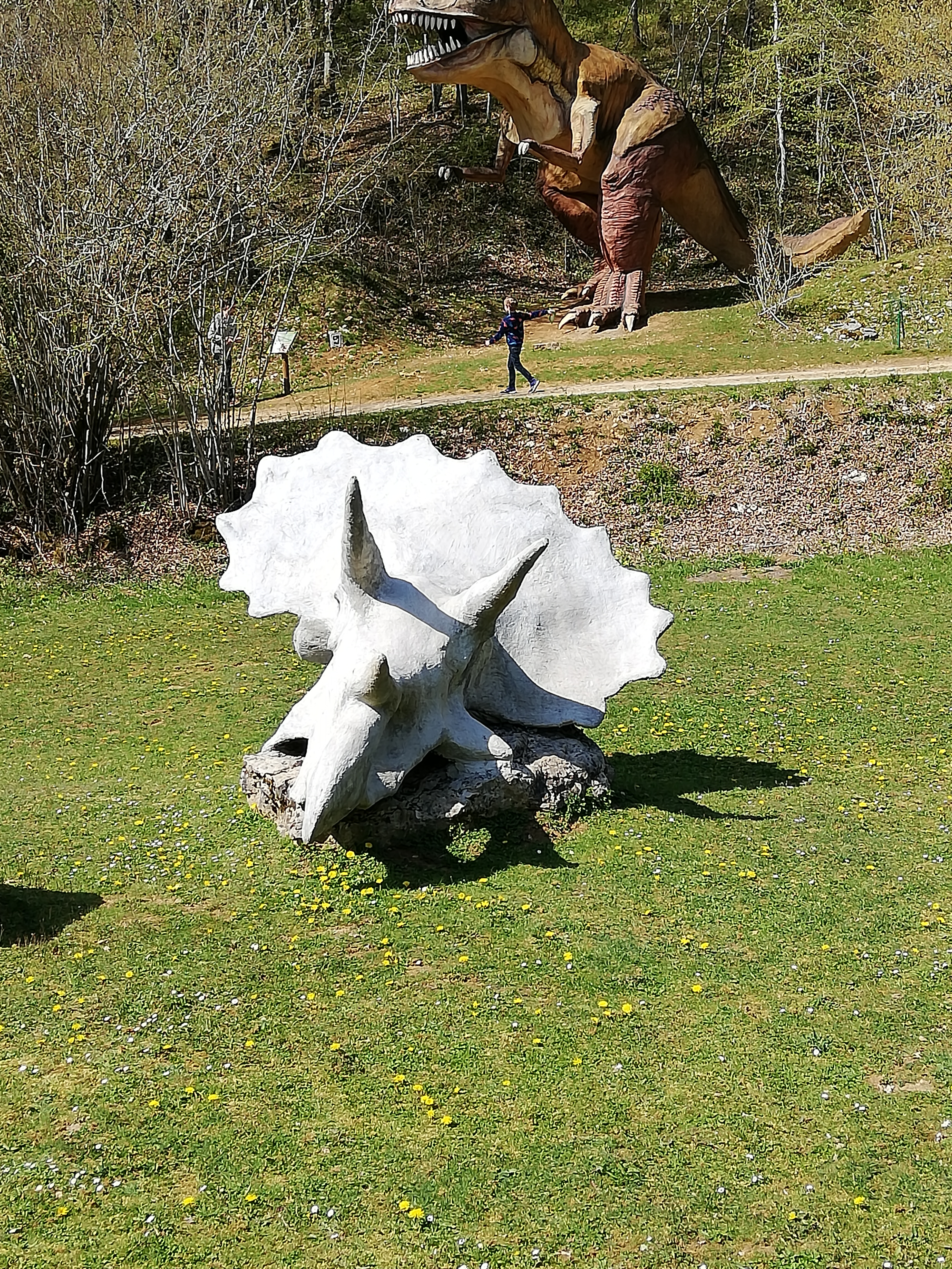 Photo n° 2 de l'avis de Scrat. fait le 16/04/2019 à 16:38