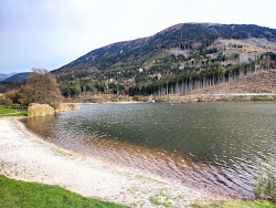 Spiaggia Nord Ovest'in fotoğrafı imkanlar alanı
