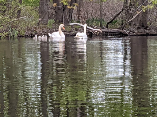 Shopping Mall «Dedham Mall», reviews and photos, 300 Providence Hwy, Dedham, MA 02026, USA