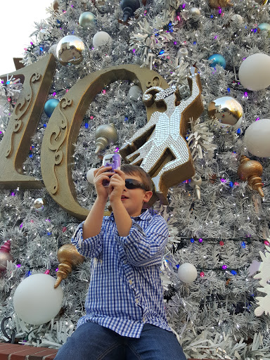 Roller Coaster «Griffon», reviews and photos, 1 Busch Gardens Blvd, Williamsburg, VA 23185, USA