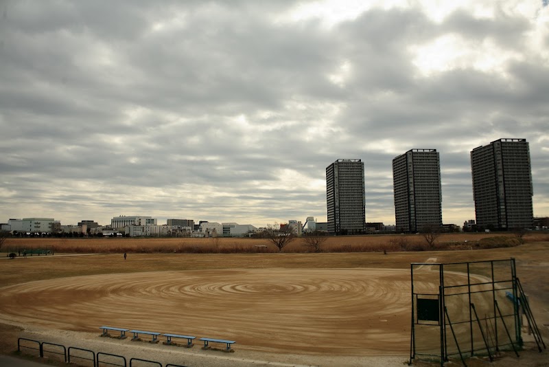 多摩川六郷橋緑地野球場