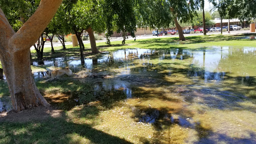 Park «Pierce Park», reviews and photos, 2150 N 46th St, Phoenix, AZ 85008, USA