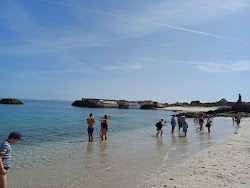 Zdjęcie Praia do Castelo Ou do Almacen dziki obszar