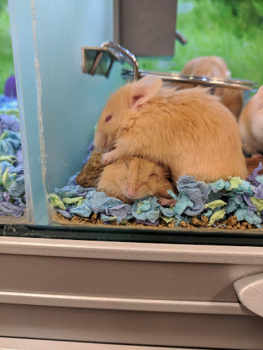 Pet Store «PetSmart», reviews and photos, 10451 Baltimore St NE, Blaine, MN 55449, USA