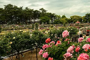 Kadokura Techno Rose Garden, Shikishima Park image