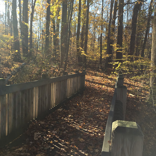 Nature Preserve «Princess Ledges Nature Preserve», reviews and photos, 4361 Spruce Ave, Brunswick, OH 44212, USA